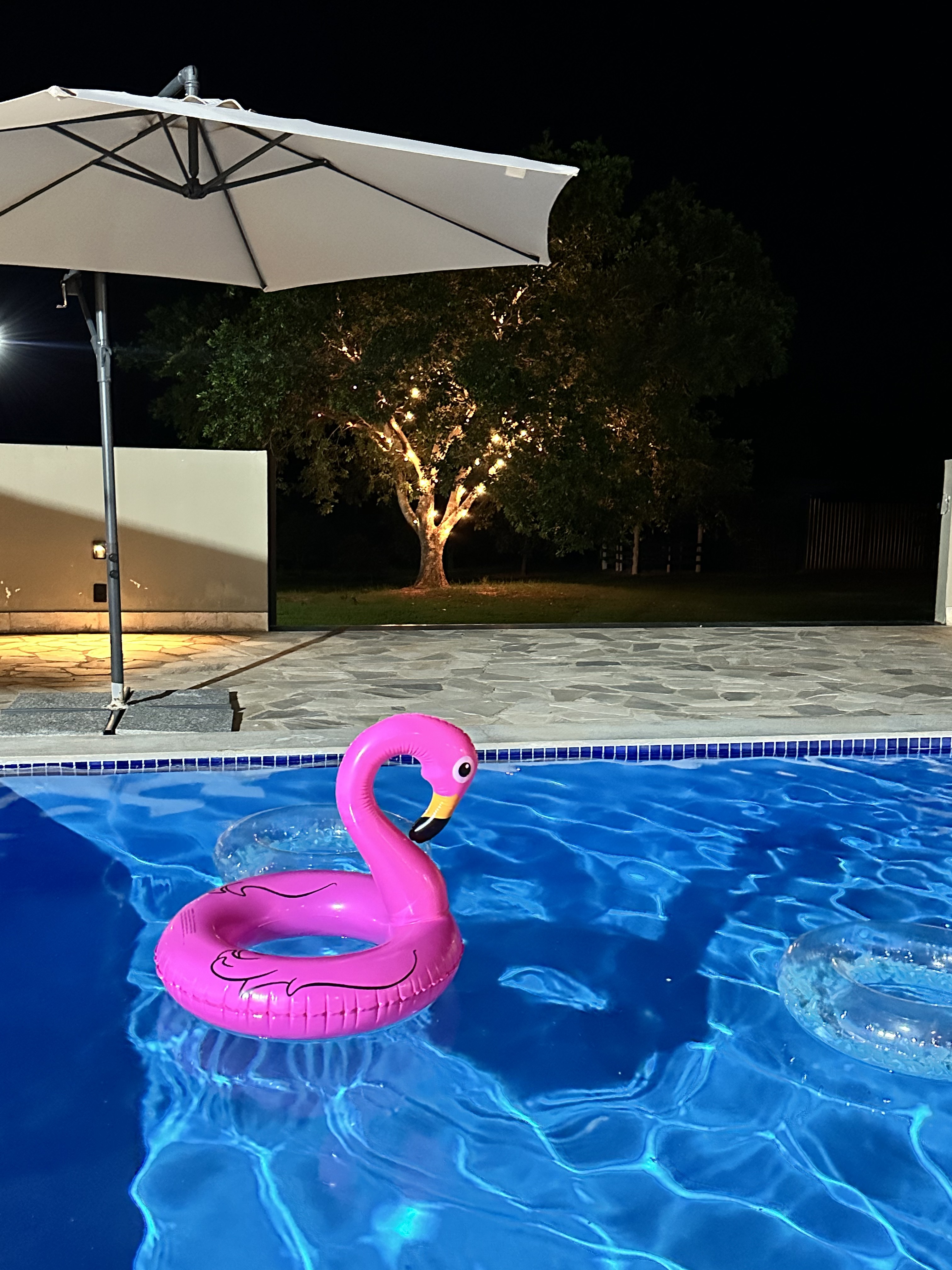 Galeria imagem 52