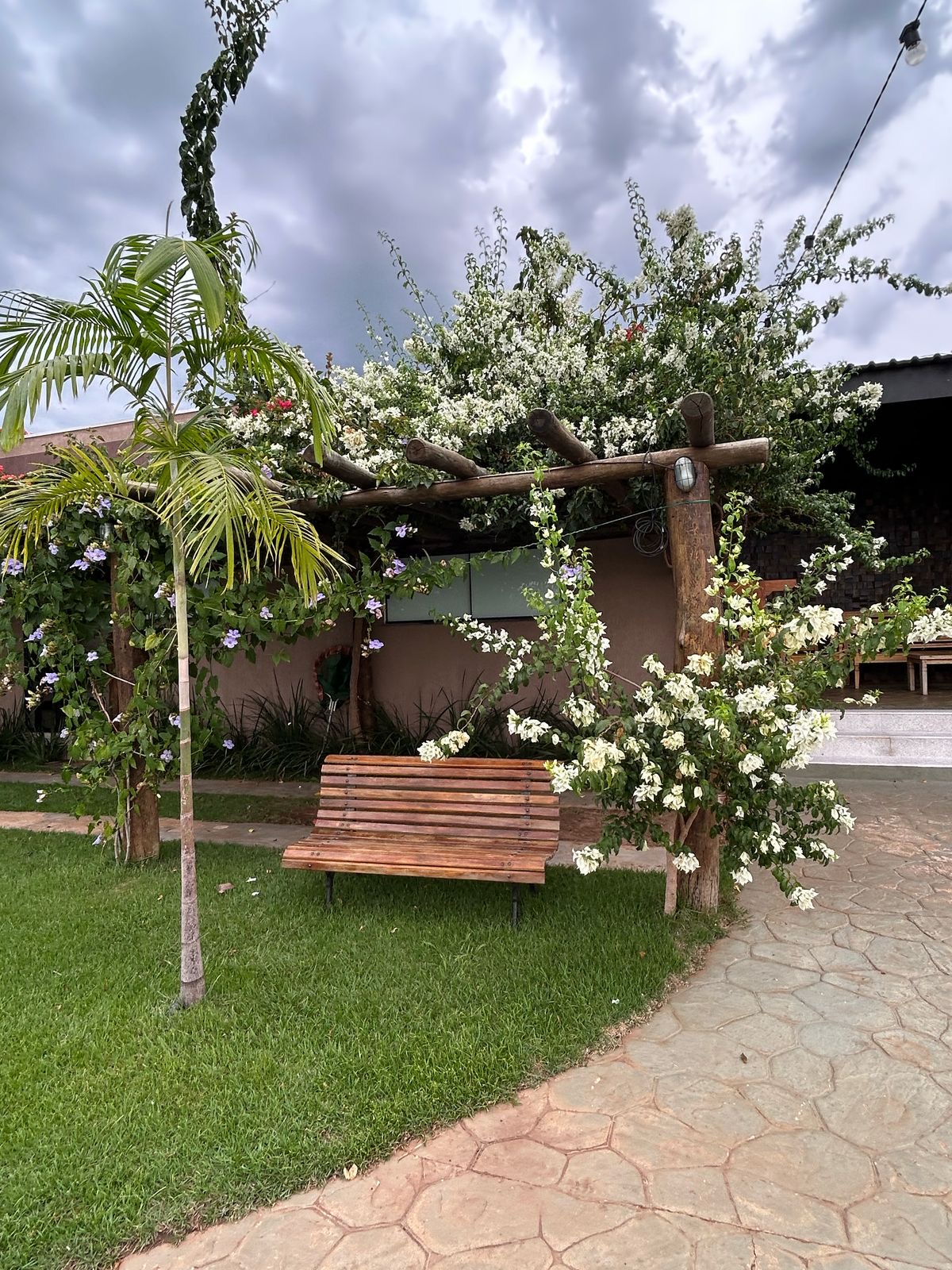 Galeria imagem 6